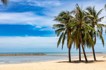 Palmiers sur la plage de Chaosamran