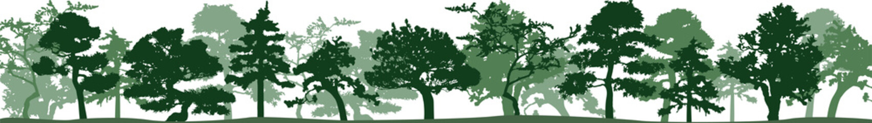 Obraz premium Green silhouette of trees. Isolated on vhite background.