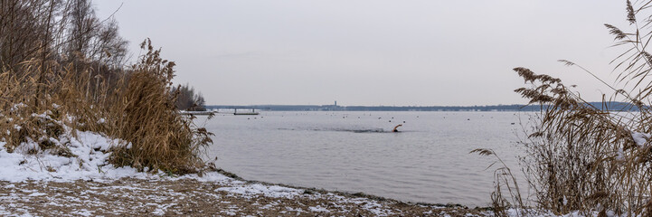 Ein junger Mann beim schwimmen in einem See im Winter