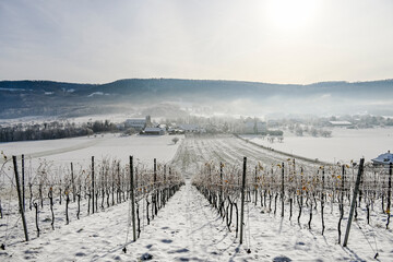 Fototapeta premium Mariastein, Kloster, Weinberg, Winter, Winterland-schaft, Landwirtschaft, Felder, Wanderweg, Winterspaziergang, Metzerlen-Mariastein, Dorf, Obstbäume, Obstbauer, Eis, Schnee, Nebel, Schweiz