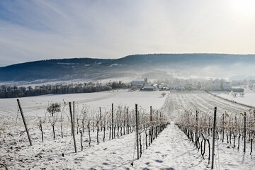 Fototapeta premium Mariastein, Kloster, Weinberg, Winter, Winterlandschaft, Landwirtschaft, Felder, Wanderweg, Spazierweg, Metzerlen-Mariastein, Dorf, Obstbäume, Obstbauer, Eis, Schnee, Nebel, Schweiz