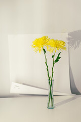 Ramo de flores amarillas en jarron con fondo blanco limpio, moderno, elegante 