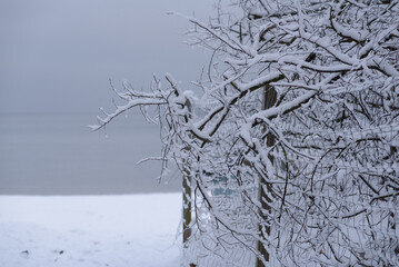 WINTER BY THE SEA - Snow covered coast, fence and trees