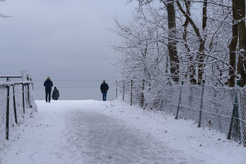 WINTER BY THE SEA - Snow covered coast, fence and trees