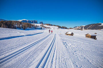 Seiser Alm skiing area