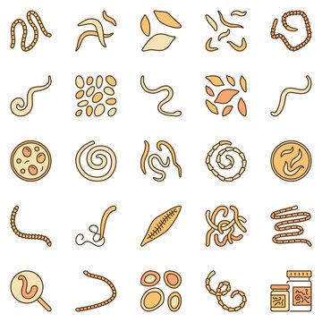 Helminth colored vector icons - Helminths Intestinal Worms concept symbols