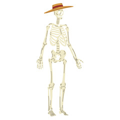 Skeleton with straw hat vector illustration in flat color design