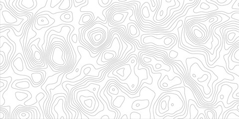 Topographic map, topographic pattern line map vector abstract background. wavy papercut line abstract background, wavy line background, geographic grid. vector, illustration