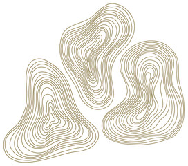 Abstract tree rings. Png topographic map concept for background. Thin black lines on white.
