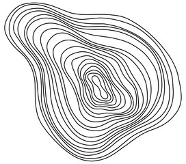 Abstract tree rings. Png topographic map concept for background. Thin black lines on white.
