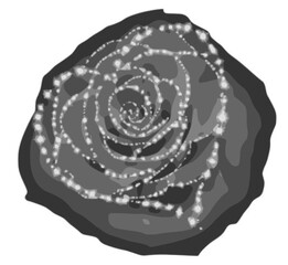 abstract black rose with heart and pearls vector