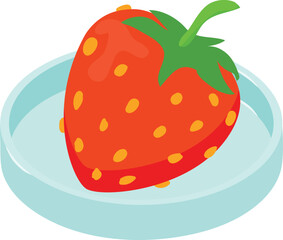 Fruit quality icon isometric vector. Fresh strawberry with essence on petri dish. Food quality control