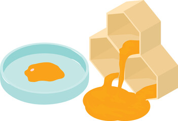 Bee product icon isometric vector. Honeycomb and drop honey in petri dish icon. Food quality control
