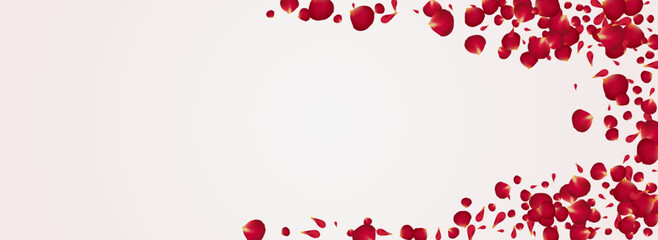 Delicate Rose Summer Vector Panoramic White