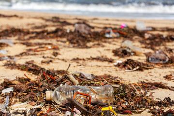 Garbage on sea sand beach, unsorted rubbish, plastic bags, glass bottle, metal can, trash, refuse pile, litter, dirty ocean water, environmental pollution, ecological problem concept, waste management