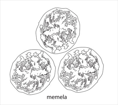 รูปภาพMemela เลือกดูภาพถ่ายสต็อก เวกเตอร์ และวิดีโอ111 Adobe Stock