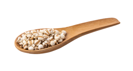  job's tears in wood spoon  isolated on transparent png