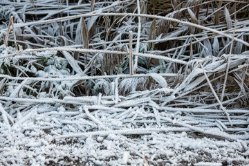 wintermemories