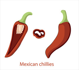 Mexican chilies. Mexican food vector. Best Mexican Dishes. Latin american food illustration.