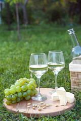Delicious white wine, grapes, cheese and nuts on green grass outdoors