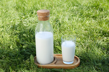 Glass and bottle of fresh milk on green grass outdoors