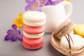 Multicolored macaroons with spring snowdrop crocus flowers and cup of coffee on gray pastel...