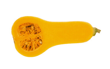 Fresh slice butternut on transparen png, top view