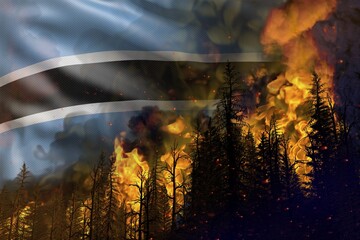 Forest fire fight concept, natural disaster - infernal fire in the woods on Botswana flag background - 3D illustration of nature