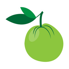guava icon illustration vector