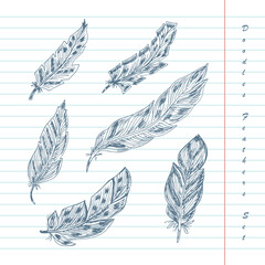 Vector Set of feathers. Hand Drawn Doodles illustration