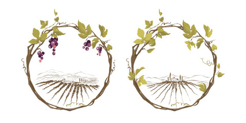 Grapevine - vector illustration. Design elements with a twisting vine with leaves and black berries. Freehand drawing in watercolor style. Frame with vine.