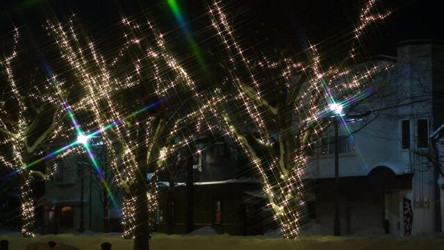 函館市の二十間坂通のイルミネーション