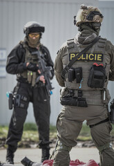 European Counter-Terror forces