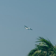 airplane in the sky