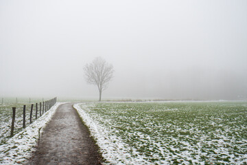 Melting snow and green grass on an agricultural field in Europe. Footpath leading to a lone tree, dense foggy weather, no people - Powered by Adobe