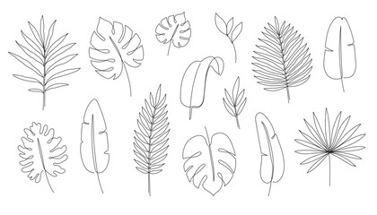 Outline tropic palm leaf set. One continuous line art tropic tree leaves. Editable stroke monstera, jungle foliage floral element. Isolated vector illustration © Polina Tomtosova