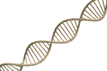 DNAの二重螺旋のイメージ-単色-ベージュ
