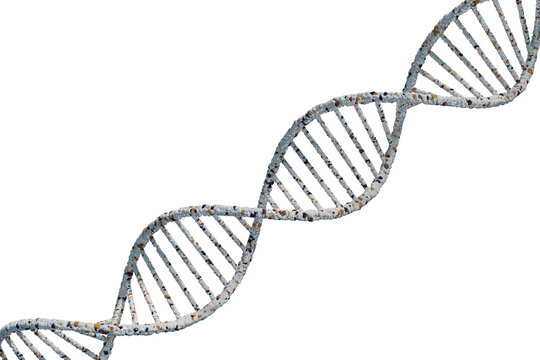DNAの二重螺旋のイメージ