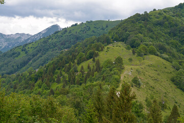 Cow pastures in Julian Alps, Slovenia. Summer pastures in Alps, Tolmin Region. Green shades.
