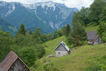 Fototapeta na wymiar Old tiny shepherd's houses in Slovenia Julian Alps. Summer shelters for cow shepherds surrounded by pastures and mountains. 