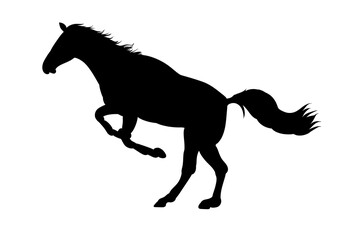 Fototapeta na wymiar Graphics design silhouette horse isolated white background vector illustration