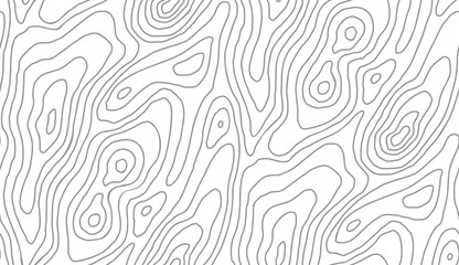 Topographic map contour background. Topo map with elevation. Contour map vector. Geographic World Topography map grid abstract vector illustration .