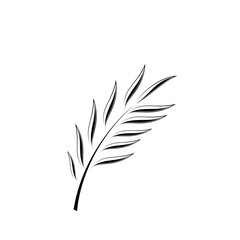 Minimalist leaf design icon