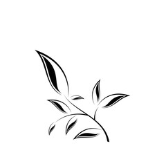 Minimalist leaf logo icon