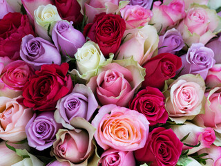 A large bouquet of beautiful multicolored roses.