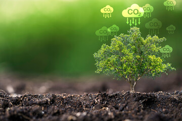 CO2 reducing icon with tree on greenery background for decrease CO2 , carbon footprint and carbon...