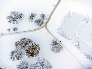 Aerial view. Winter landscape, park , trees, path, snow, frost, white fluff. 