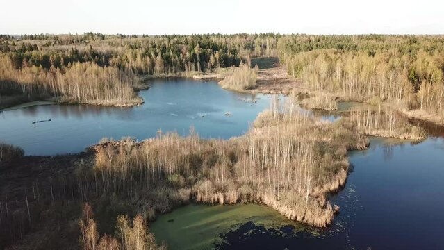 View of the forest from a high altitude. Drone photography of the area. Flying over the marshes. Flight, forest, bogs, trees, village, drone, photography, summer, water, area