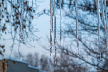 View from the window in winter. Icicles hang from the roof background.