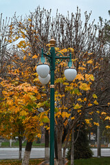 Dark green lantern in the city park against the backdrop of autumn trees.